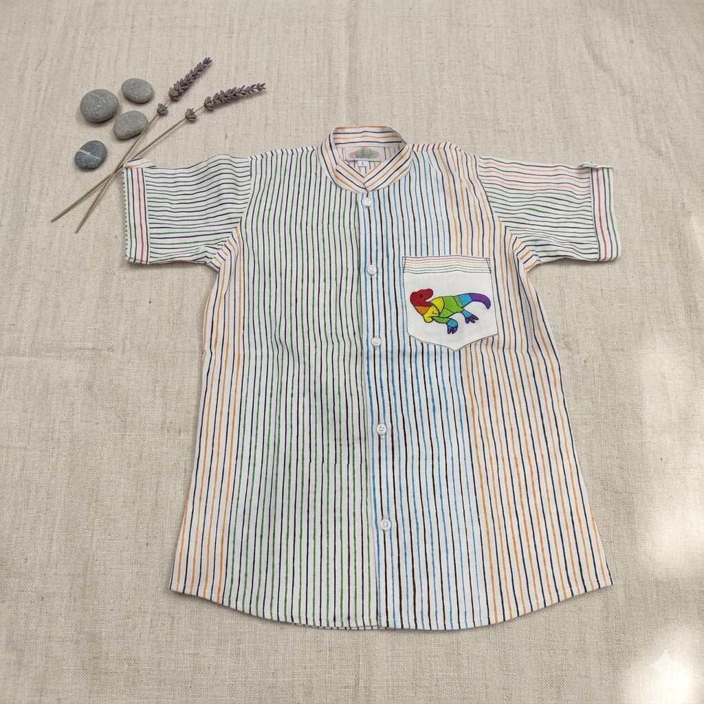 Dinosaur Hand embroidered Shirt for Boys
