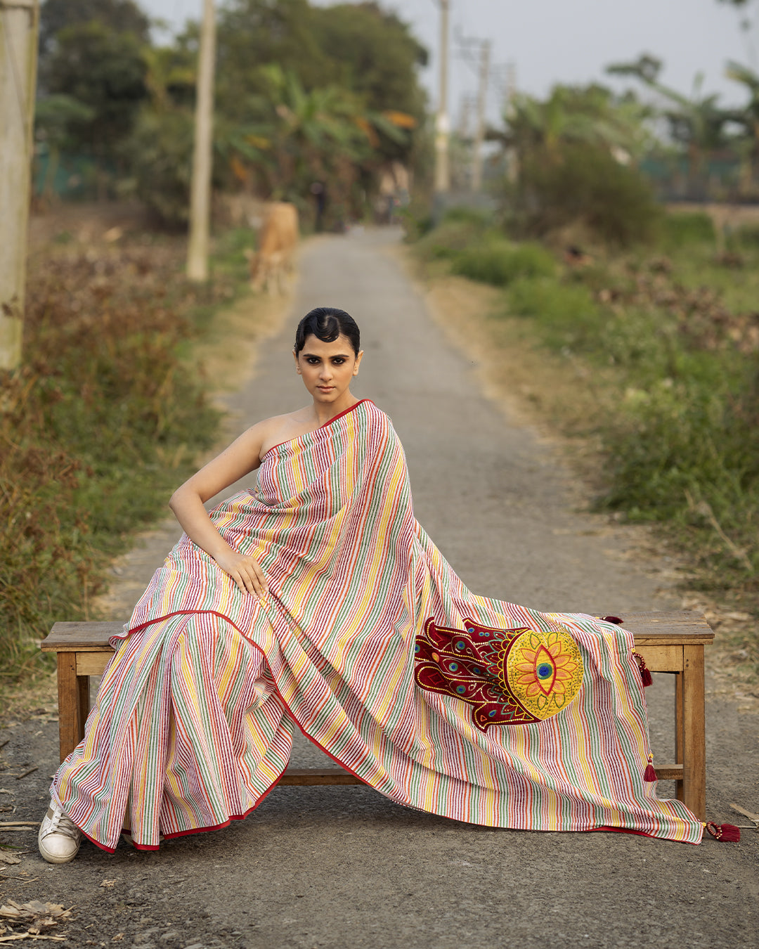 Hamsa Appliqué work Multicolour Stripe Block Printed Saree