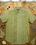 Pista green Cotton Half sleeve shirt