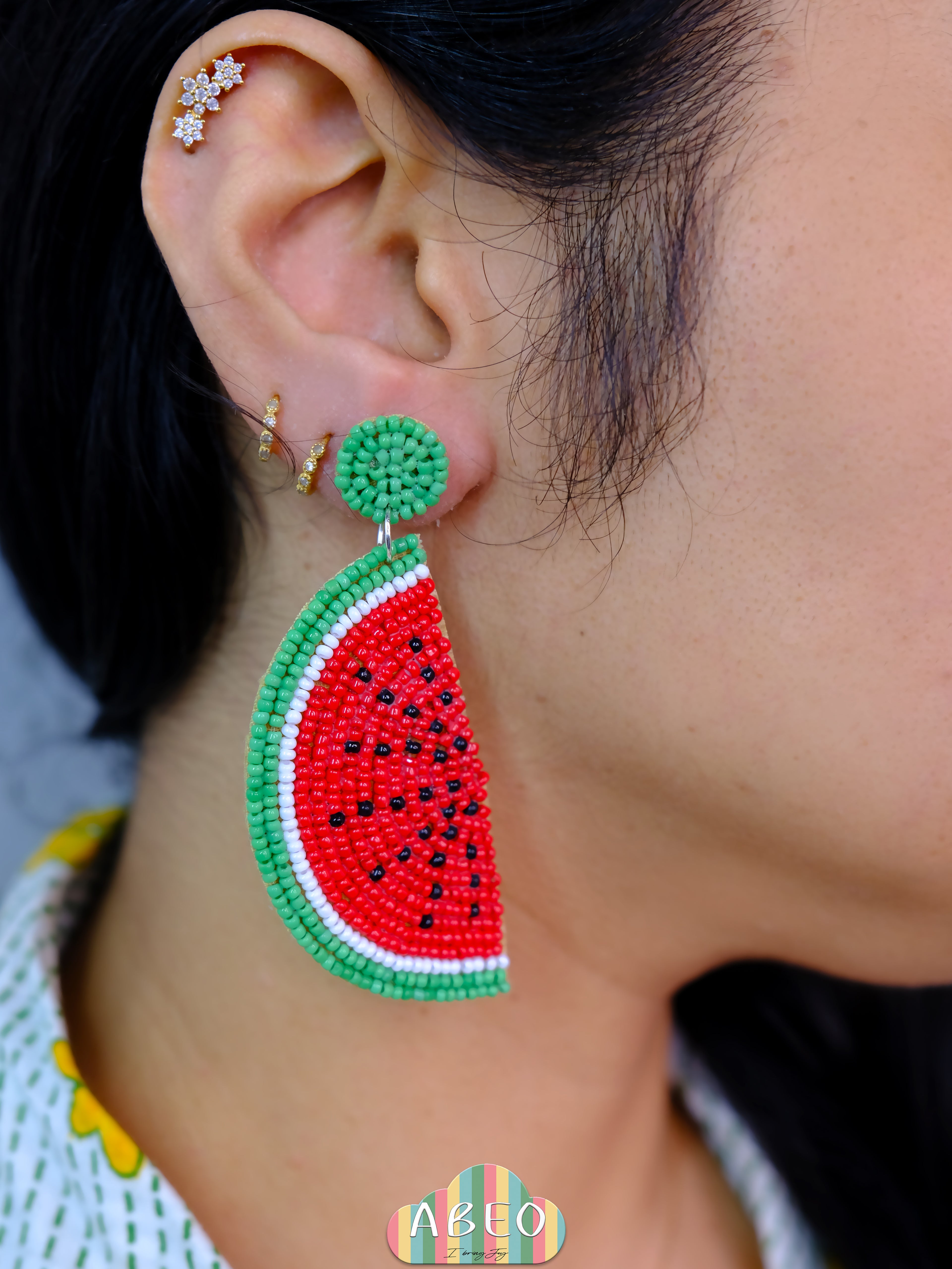 Red Watermelon Earring