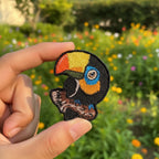 New Toucan Brooch