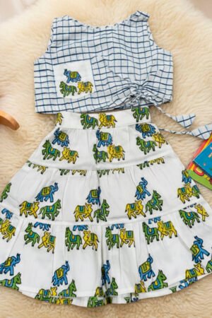 Animal Printed Sleeveless Top & Skirt